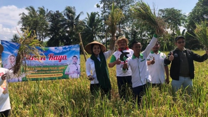 HKTI Soroti Kelangkaan Pupuk di lebak