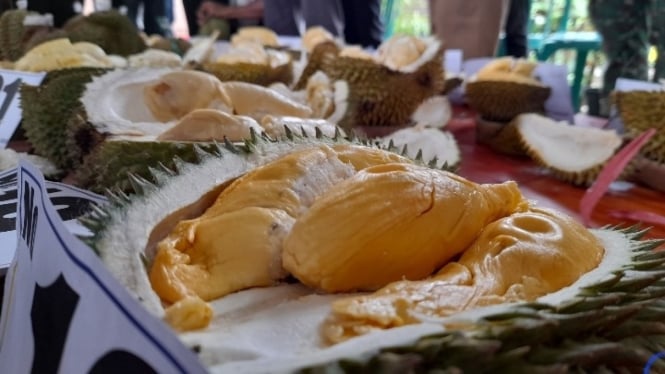 Durian di Kabupaten Serang