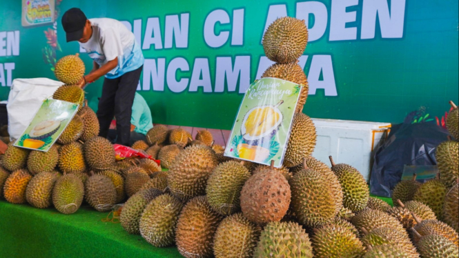 Festival belah durian di Tangerang
