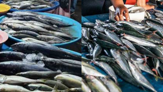 Harga ikan di Kabupaten Lebak dan Pandeglang tinggi