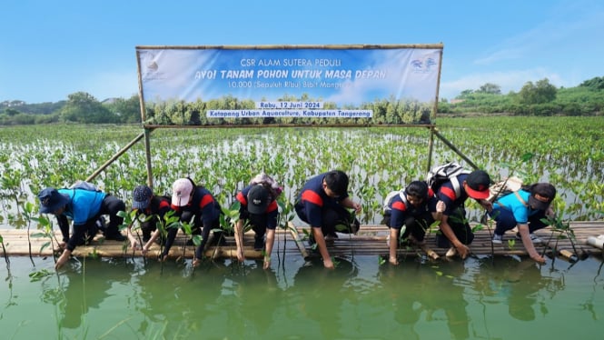 Pelajar Tangerang lakukan penanaman mangrove