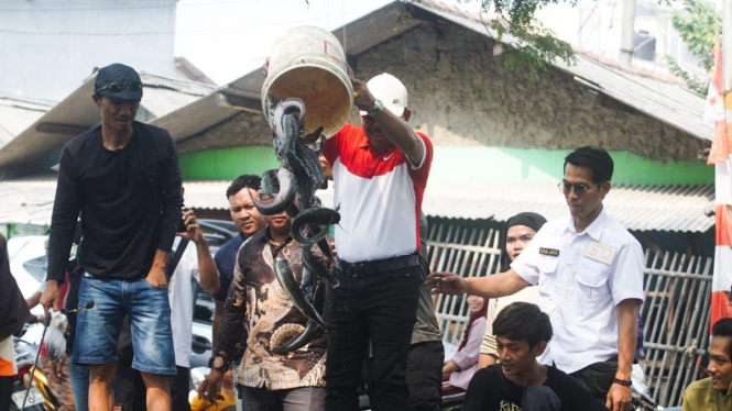 Penyebaran ikan lele di Kali Sipon Tangerang