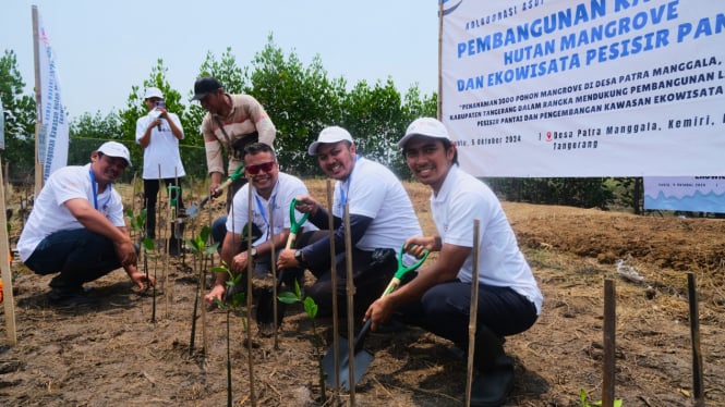 ASDP tanam ribuan mangrove di tangerang