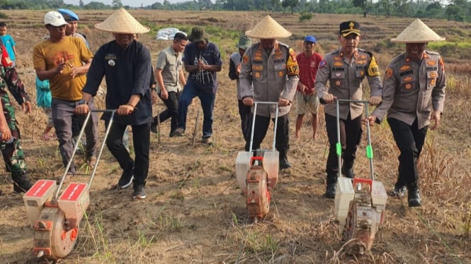 Penanaman Jagung di Lahan Tidur oleh Polres Serang.