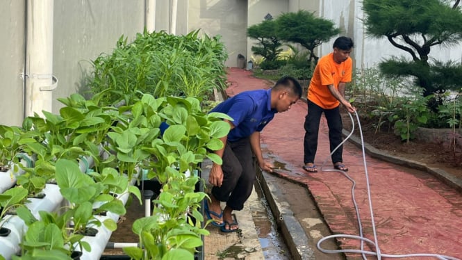 WBP di Rutan Serang saat menyiram tanaman