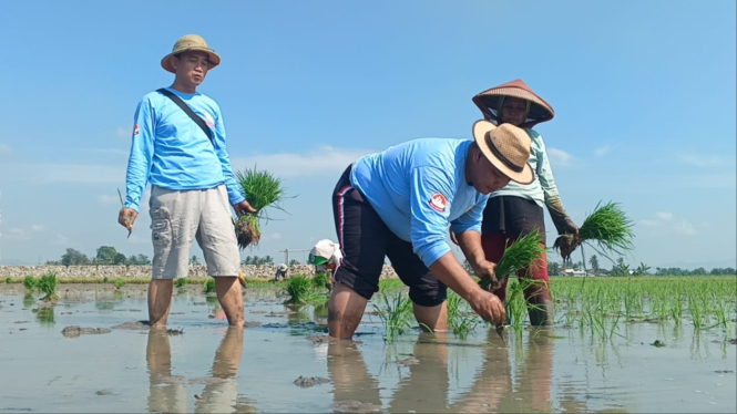 YBBN Banten berikan pembekalan metode tanam padi bagi petani di Serang
