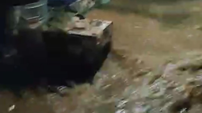 Banjir Puncak Bogor