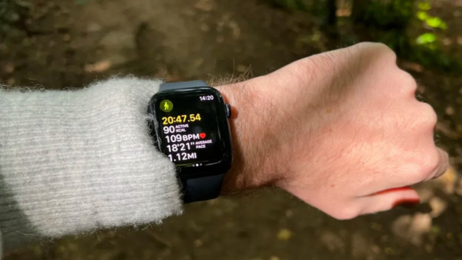 Smartwatch Apple Watch SE 2