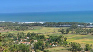 Bukit Selok! Spot View Laut Terbaik dan Spektakuler di Cilacap