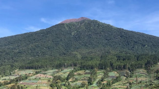Menikmati Keindahan Gunung Slamet dari Gardu Pandang Purbalingga!