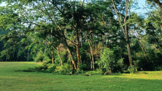 Hidden Gem Buat Ngadem di Banyumas, Bumi Perkemahan Kendalisada Jawabannya!