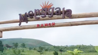 Menggala Ranch Banyumas! Surga Hijau dengan Pemandangan Perbukitan yang Begitu Memanjakan Mata