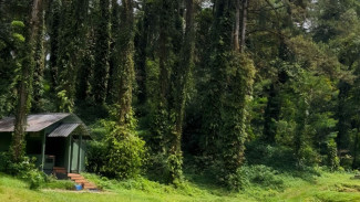 Kebun Raya Baturaden! Wisata Alam Sejuk dan Asri di Kaki Gunung Slamet