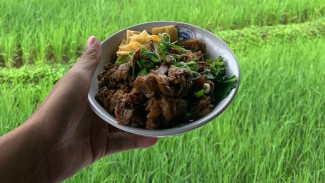 Mie Ayam Manteb Mas Catur! Sensasi Makan Mie Ayam View Sawah yang Menenangkan