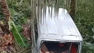Kecelakaan Sebuah Mobil Grandmax Travel yang Terjun Bebas ke Area Persawahan di Purwanegara, Banjarnegara