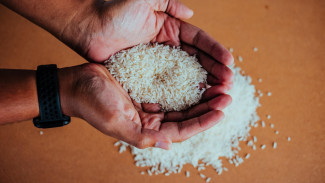 Kapan Waktu Paling Tepat Bayar Zakat Fitrah? Simak Panduan Lengkap Agar Tepat Sasaran dan Berkah