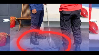 Sigap! Damkar Banyumas Evakuasi Seekor Ular yang Masuk Area Perkantoran di PT. Moazzam Buana Wisata di Purwokerto