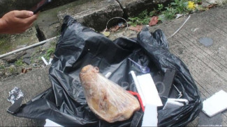 Polisi Selidiki Teror Paket Bangkai Hewan ke Tempo, CCTV Ungkap Sosok Misterius yang Diduga Pelaku