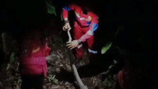 Penemuan Dua Ekor Ular Sanca di Kembaran dan Cilongok,Petugas Damkar Banyumas Sigap Evakuasi