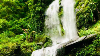 Curug Silintang Purbalingga: Wisata Gratis dengan View Perbukitan yang Menyegarkan dan Pas Buat Melepas Penat!