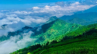 Gunung Beser Purbalingga: Spot Pendakian Gratis dengan Pesona Alam Asri dan Udara Sejuk di Desa Jingkang