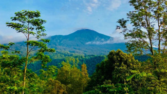 Menikmati Sunrise Mempesona di Bukit Rajawali Kalipagu: Spot Tersembunyi dengan View Purwokerto dari Ketinggian!