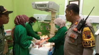 Warga Blora Temukan Bayi Laki-laki Baru Lahir di Semak-semak, Tak Berbalut Kain dan Masih Lengkap dengan Plasenta