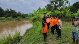 Korban Tiba-Tiba Lompat ke Sungai! Pria Asal Cirebon Dilaporkan Hanyut di Pemali Saat Berkunjung ke Brebes