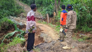 Sigap! BPBD Purbalingga Tinjau Longsor di Desa Jingkang, Kerugian Talud dan Jalan Puluhan Juta