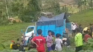 Diduga Sopir Mengantuk, Truk Bermuatan Sayuran Terguling di Jalan Raya Wanayasa-Batur