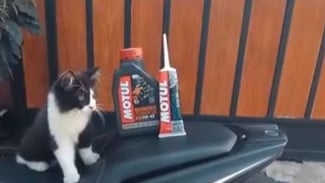 3 Oli Honda Matic yang Diam-Diam Dipakai Mekanik Pro, No Overheat dan Mesin Anti Kasar Meski Tanpa Radiator!