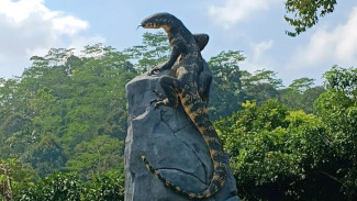 Geger! Tugu Biawak Senilai Rp 50 Juta di Wonosobo Mendadak Viral, Berhasil Curi Perhatian