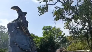 Patung Tugu Biawak di Wonosobo Curi Perhatian, Ternyata Pembuatan Oleh Seniman Lokal