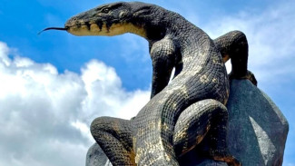 Wow! Daya Tarik Patung Tugu Biawak di Wonosobo, Jadi Incaran Publik Saat Ini