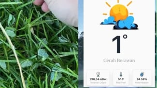 Udara Dingin di Dieng Muncul Embun Es, Saat Ini Suhu Sentuh 1 Derajat Celcius