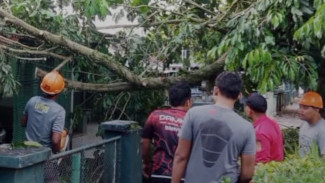 Pohon Tumbang Menimpa Rumah Dinas Korem di Purwokerto, Damkar Banyumas Lakukan Penanganan