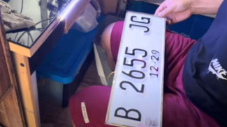 Inilah Cara Cek Plat Mobil Tanpa Harus Capek ke Samsat, No Tipu-Tipu!