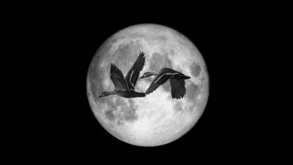 Si Lakuning Rembulan! Weton Minggu Pahing, Tenang di Luar, Dalamnya Penuh Cahaya dan Makna