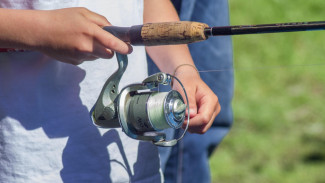 5 Kesalahan Fatal Pemula Saat Memilih Alat Casting: Panduan Hemat Budget dari Pantai Berombak hingga Karang Dangkal!