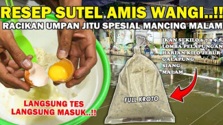 Mancing Malam Gak Pernah Gagal Dengan Racikan Umpan Sutel Ini, Penasaran Kenapa? Simak Resep Rahasianya!