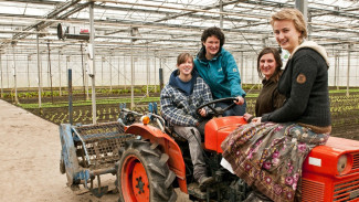 Rabu Pon, Weton Pembawa Berkah Rezeki dan Pesona yang Memikat