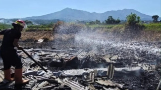 Ludes! Kebakaran Kandang Kambing di Kalibeber Wonosobo, 9 Ekor Tewas Dilahap Api