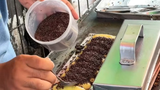 Kue Pukis Enak yang Wajib Mahasiswa Unsoed Purwokerto Coba