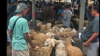 80 Dokter Hewan Jateng Siap Awasi Penyembelihan Kurban, Ini Tugas Mereka!