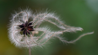 Weton Sabtu Pahing! Si Keras Hati yang Lembut Jiwa dan Dermawan