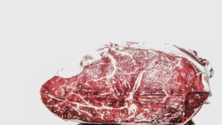 Intip Kisah Sapi Banmas dari Prabowo yang Bikin Warga Wonogiri Bersyukur