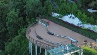 Sensasi Safari See To Sky di Baturaden, Ngopi Cantik dengan Pemandangan Luar Biasa