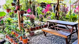 Ngopi Santai Rasa Studio Ghibli: Suasana Asri di Gubug Sabin