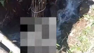 Geger! Penemuan Seorang Pria Tewas di Pemalang, Tubuh Tertimpa Kayu Hingga Kepala Terendam Air