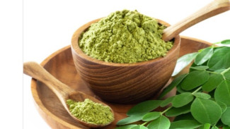 Daun Kelor: 12 Manfaat Ajaib untuk Kesehatan Optimal – Rahasia Hidup Sehat Alami!